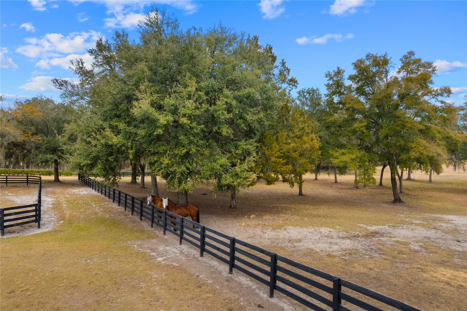 OM718236 Property Photo