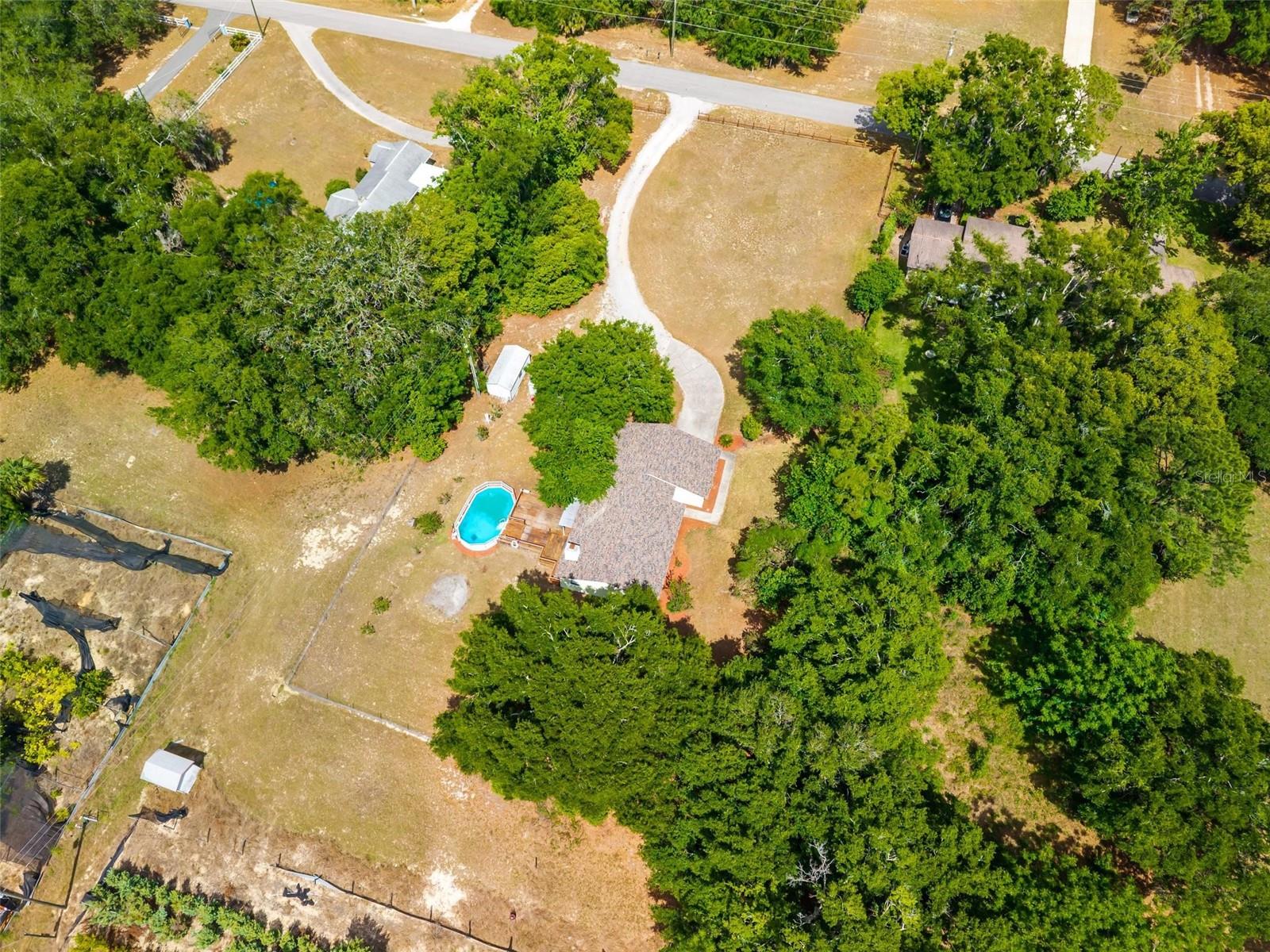 317 TOMATO HILL RD, LEESBURG, FL, 34748