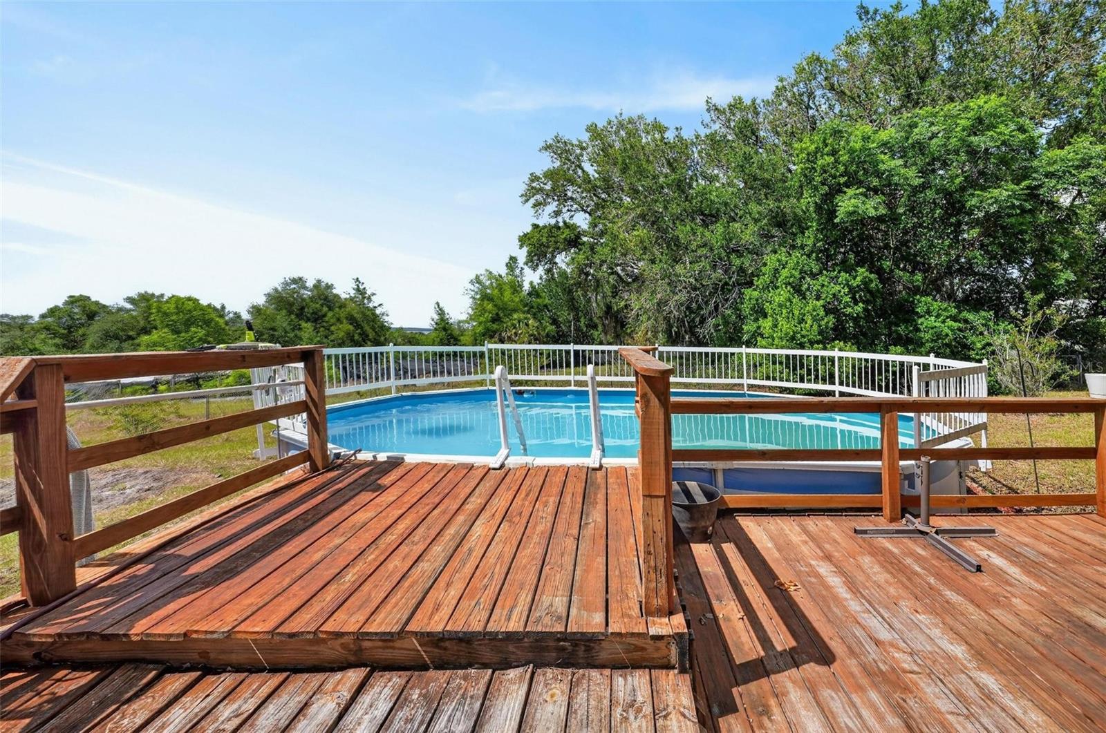 317 TOMATO HILL RD, LEESBURG, FL, 34748