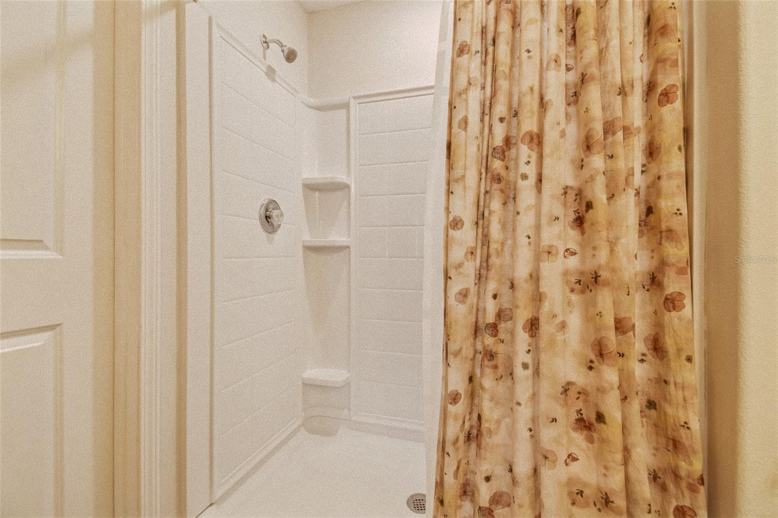 Primary Bath Walk-in Shower