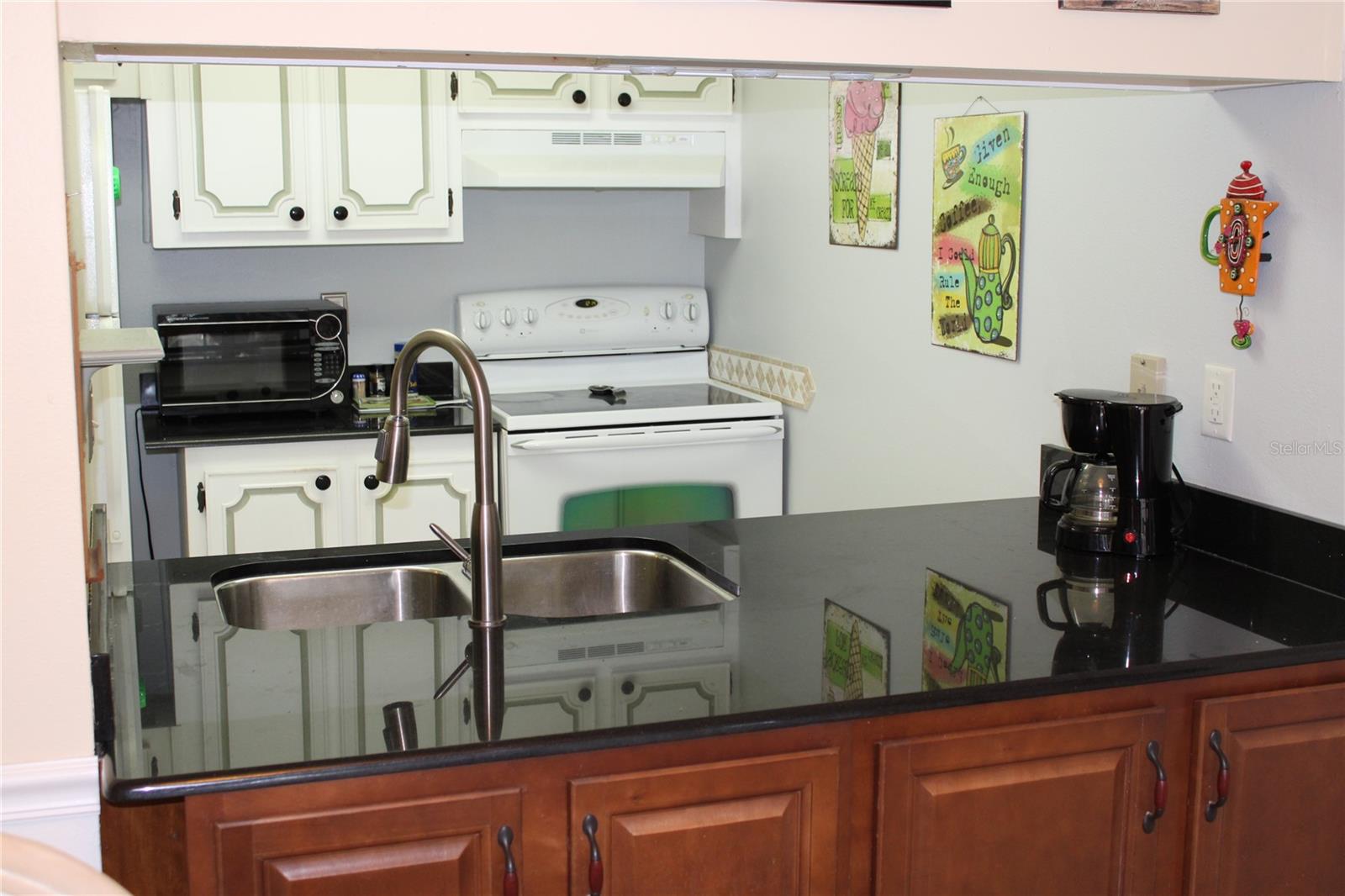 Beautiful black quartz counter tops