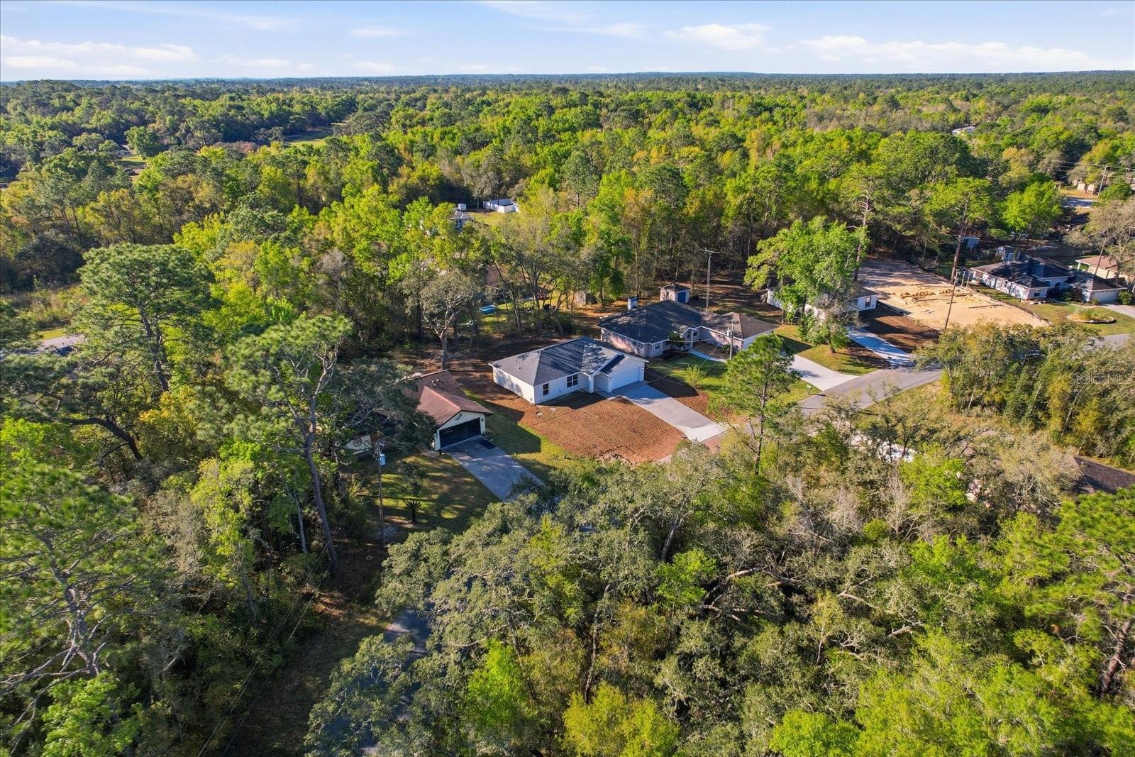 2980 W CAMILO DR, CITRUS SPRINGS, FL, 34434