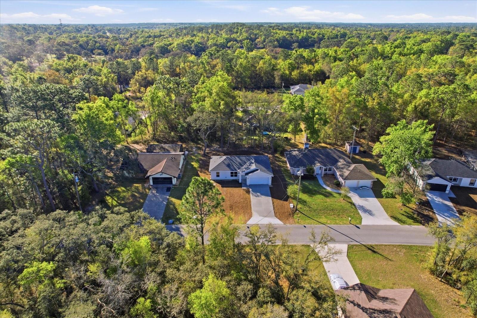 2980 W CAMILO DR, CITRUS SPRINGS, FL, 34434