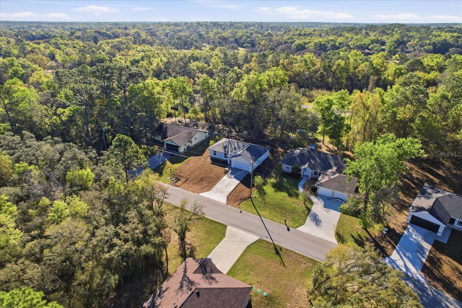 2980 W CAMILO DR, CITRUS SPRINGS, FL, 34434