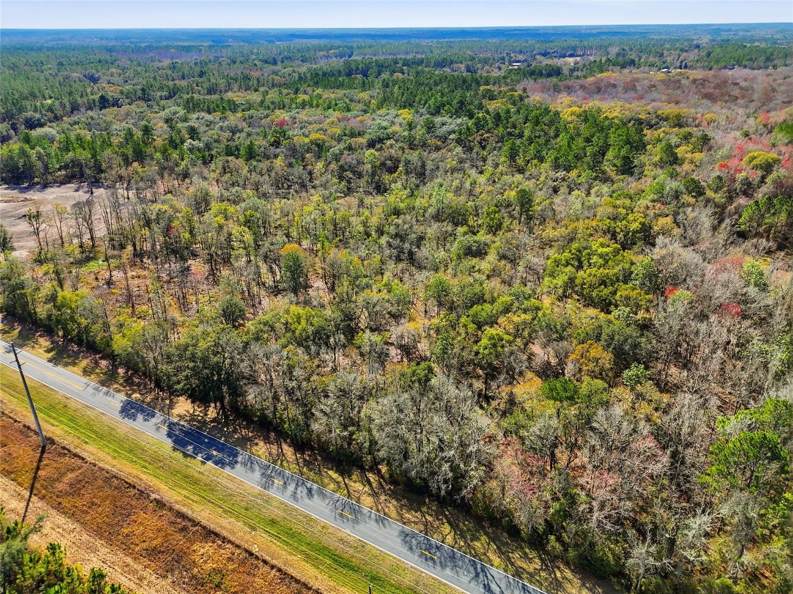 20994 SW COUNTY ROAD 18 #Lot 1, BROOKER, FL, 32622