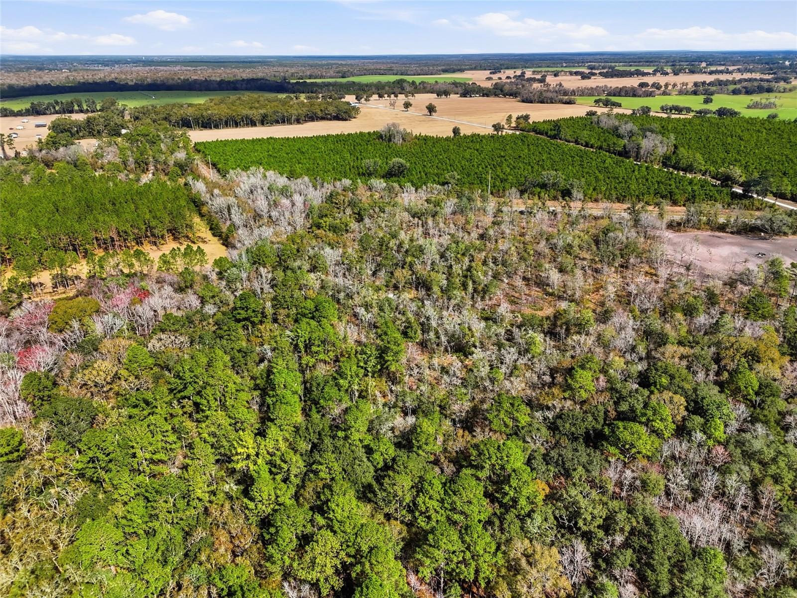 20994 SW COUNTY ROAD 18 #Lot 1, BROOKER, FL, 32622