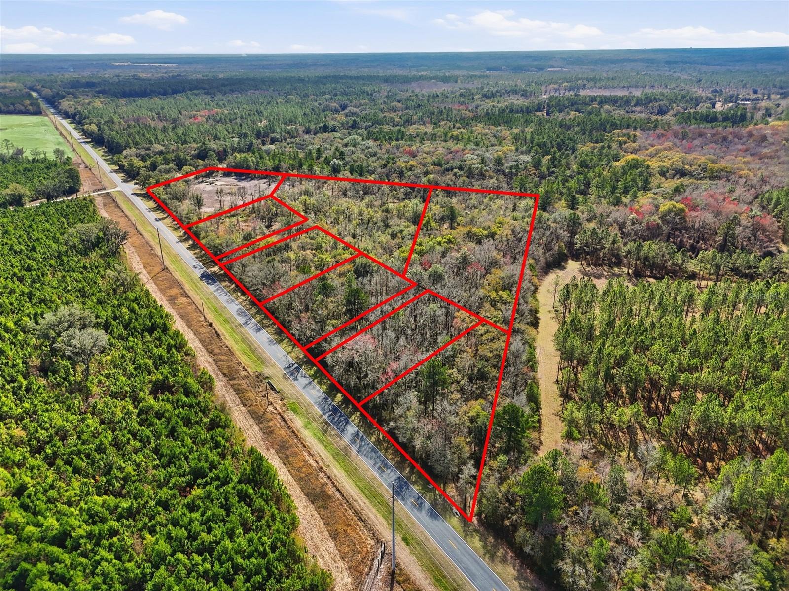 20994 SW COUNTY ROAD 18 #Lot 1, BROOKER, FL, 32622