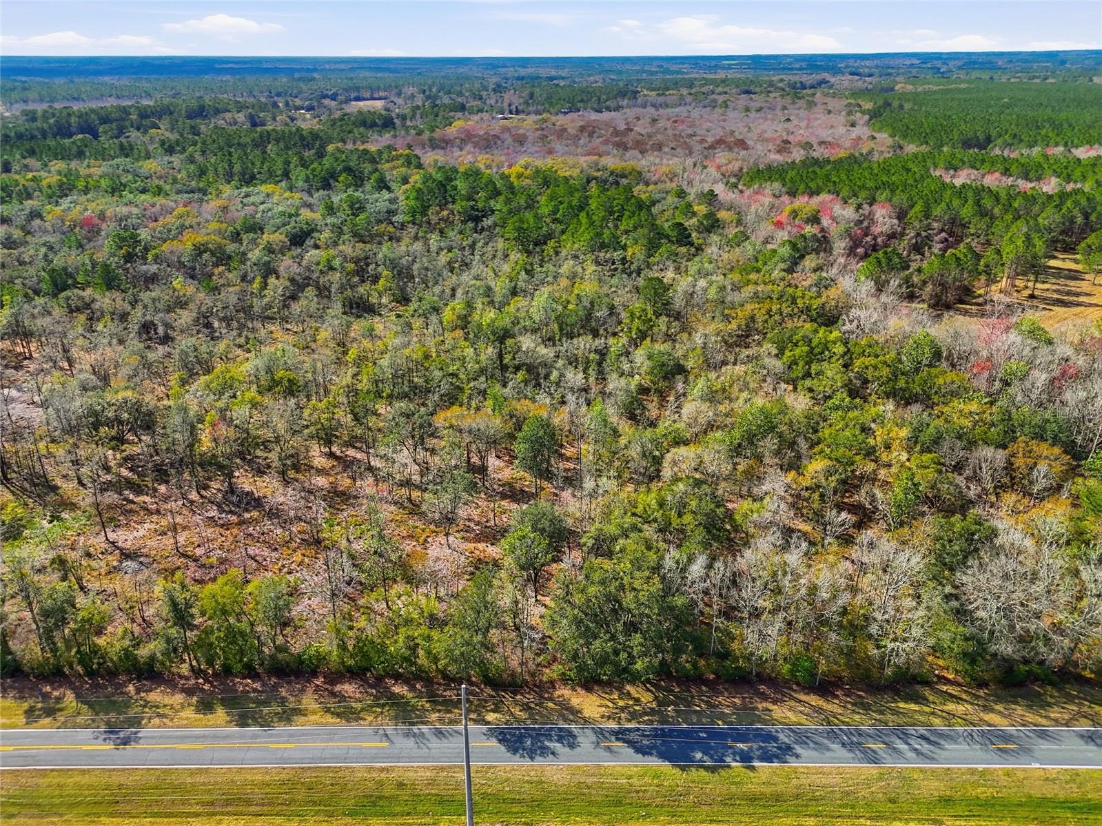 20994 SW COUNTY ROAD 18 #Lot 1, BROOKER, FL, 32622