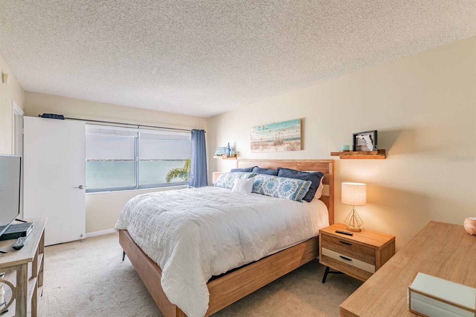 5541 PUERTA DEL SOL BLVD S #316, ST PETERSBURG, FL, 33715