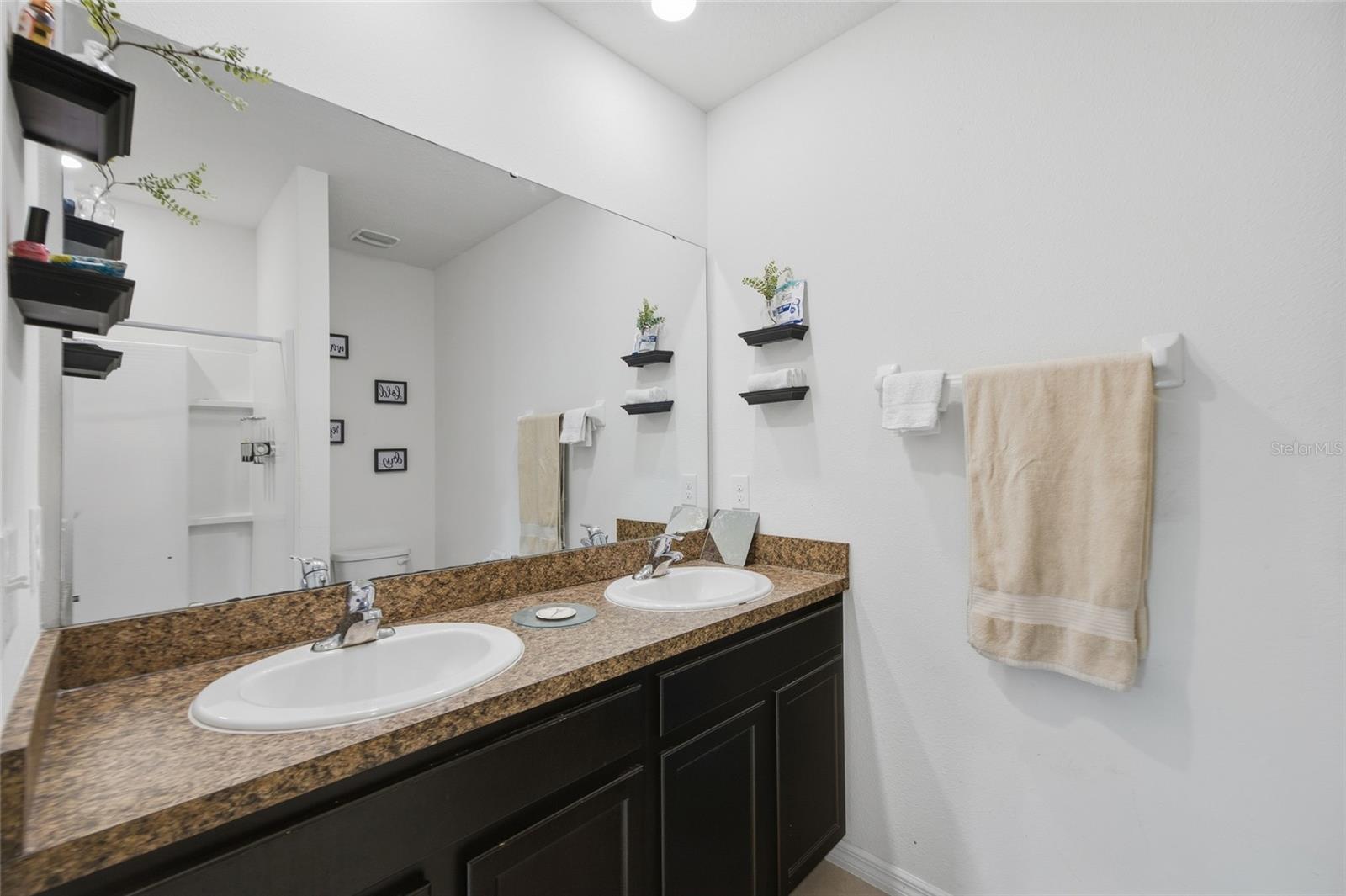 8204 PELICAN REED CIR, WESLEY CHAPEL, FL, 33545