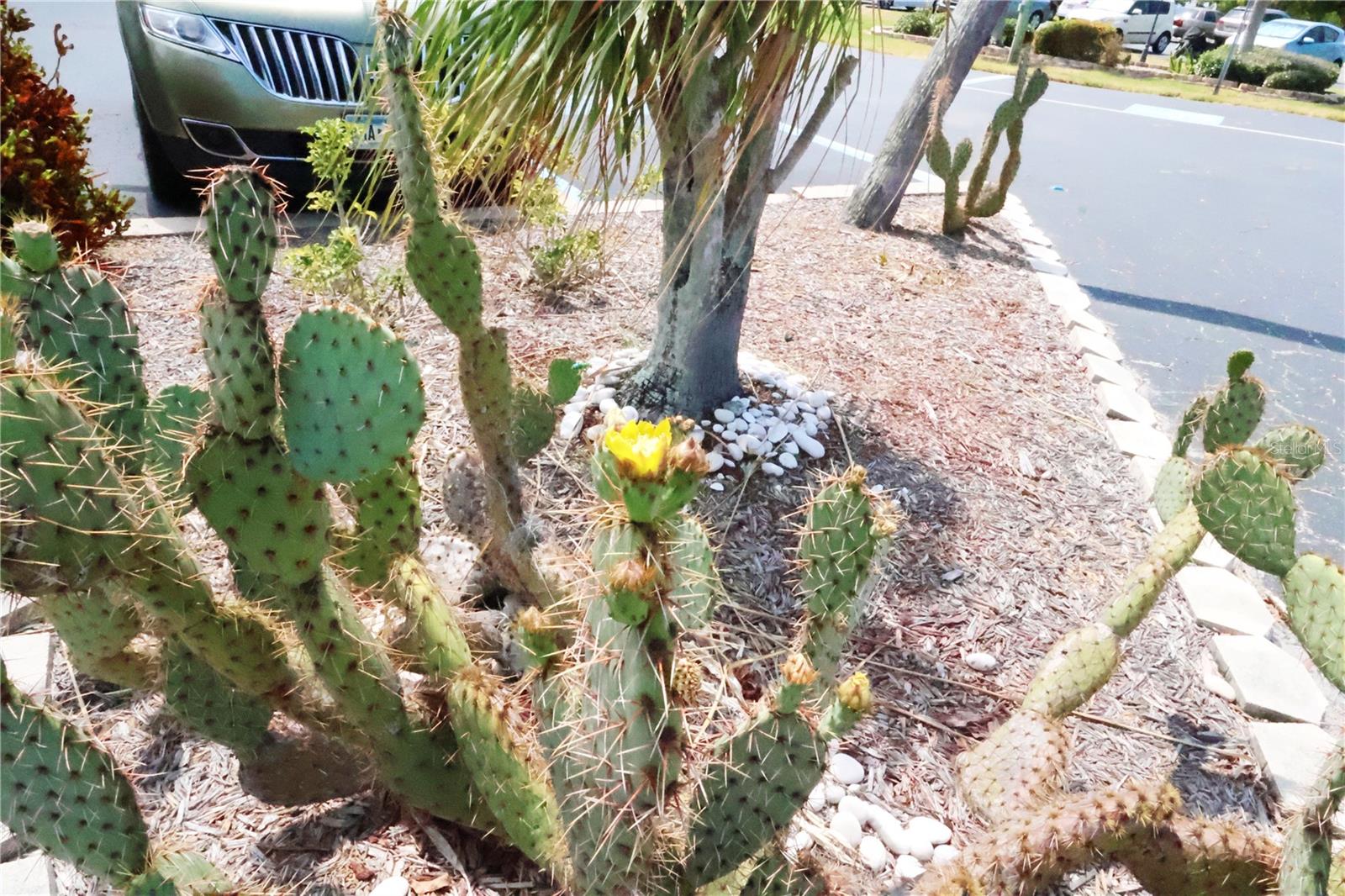 A4681686 Property Photo