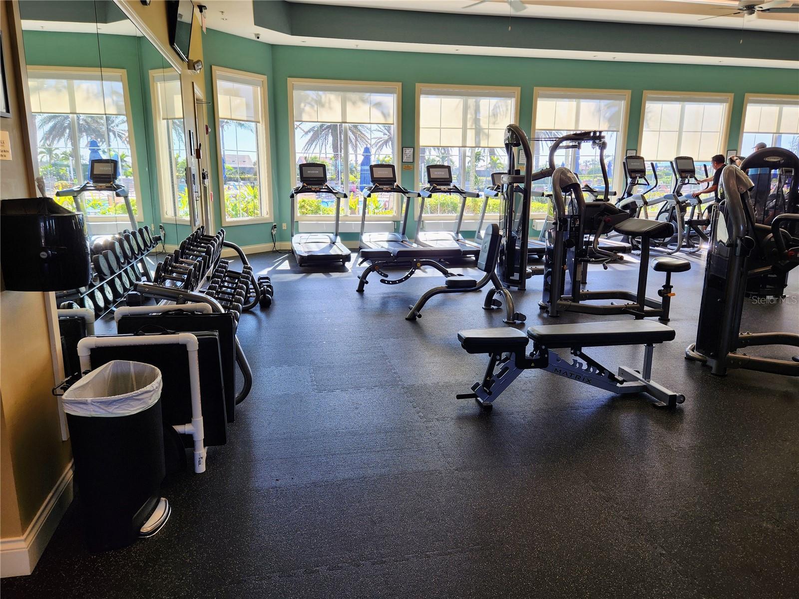 13892 ALAFAYA ST, VENICE, FL, 34293