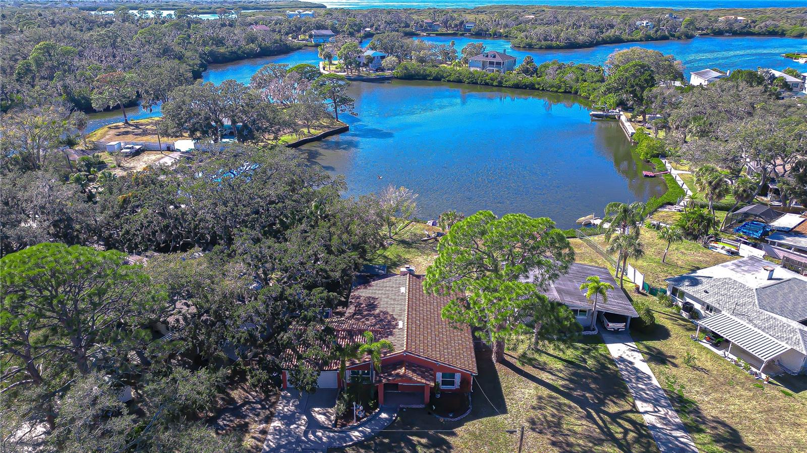 Beauty Abounds on the Bayou!