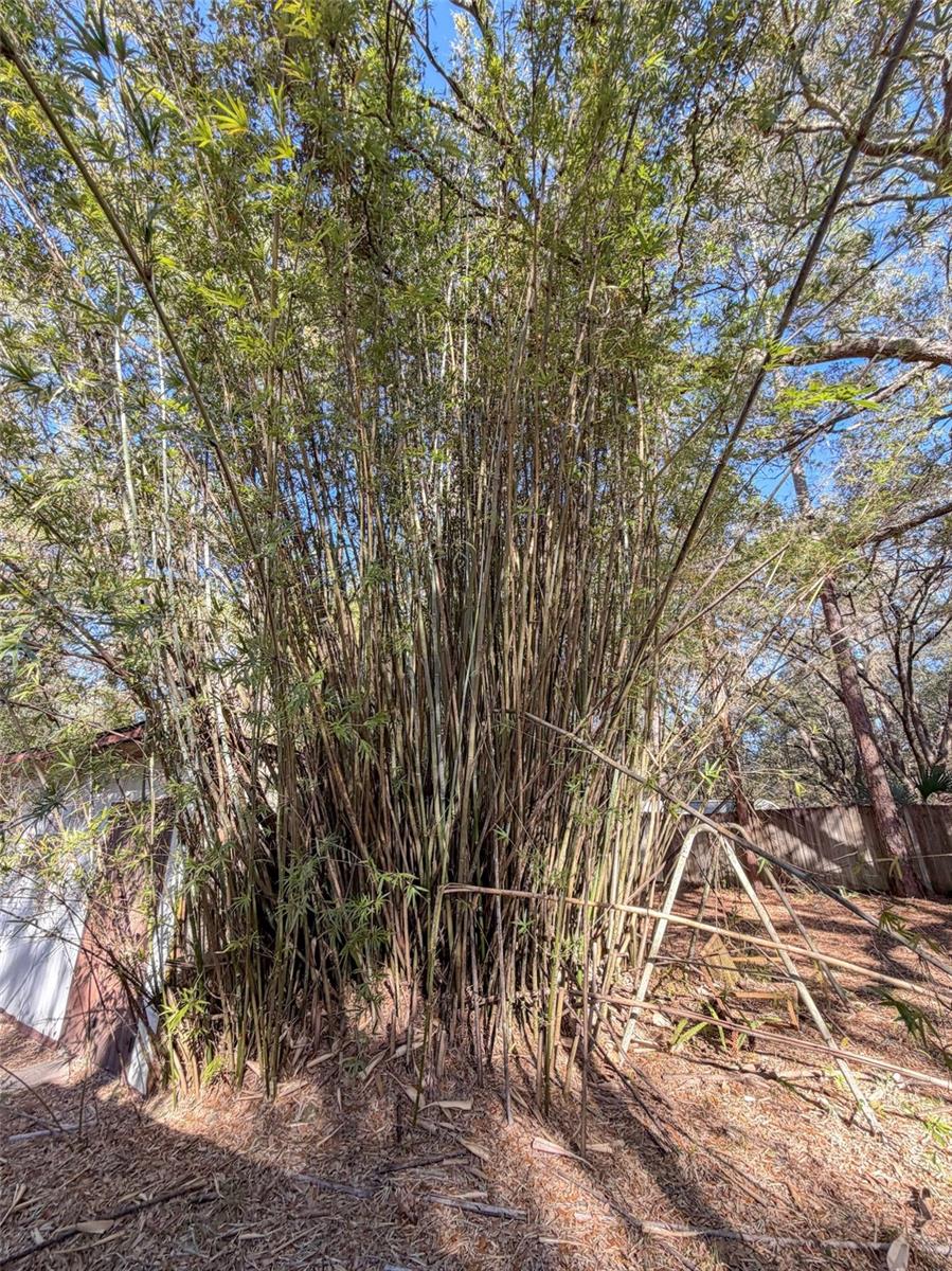 OM718429 Property Photo