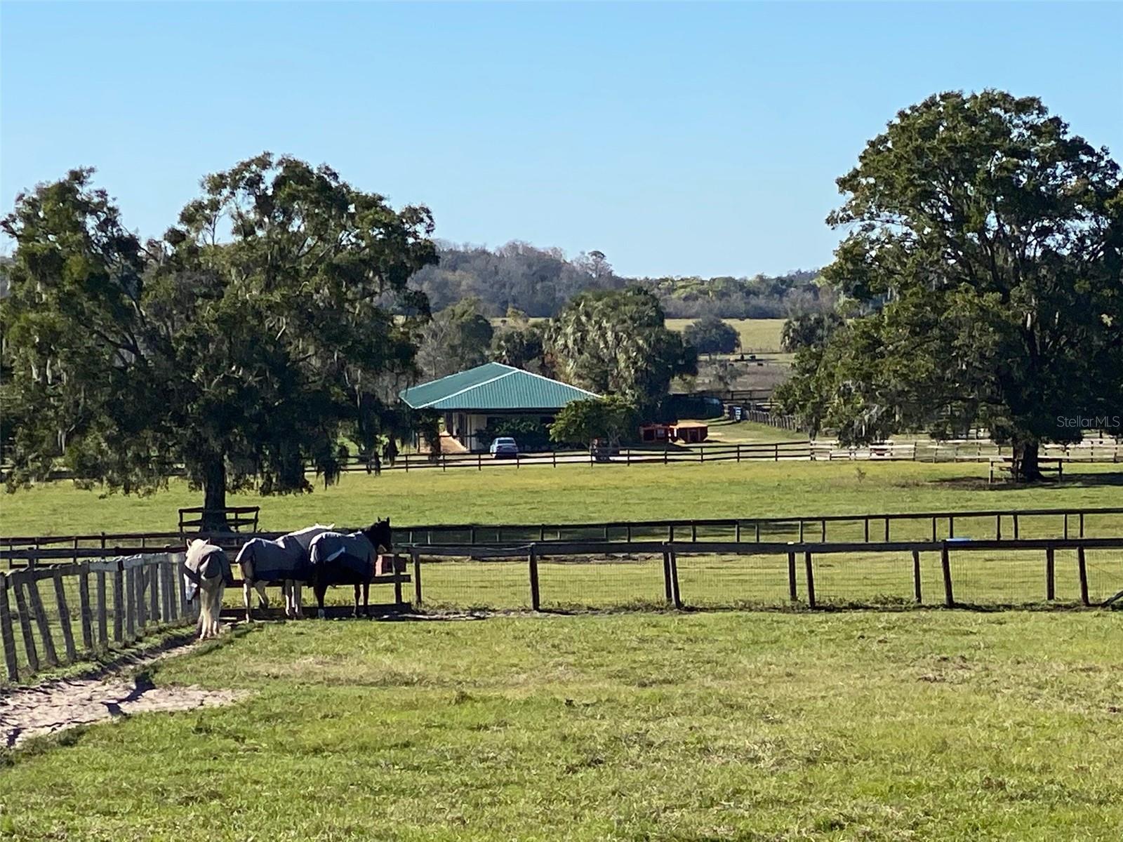 OM718430 Property Photo