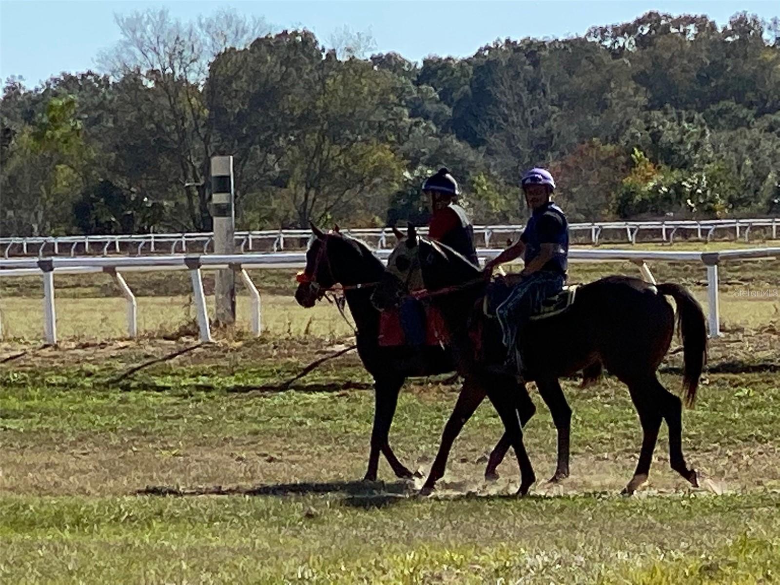 OM718430 Property Photo