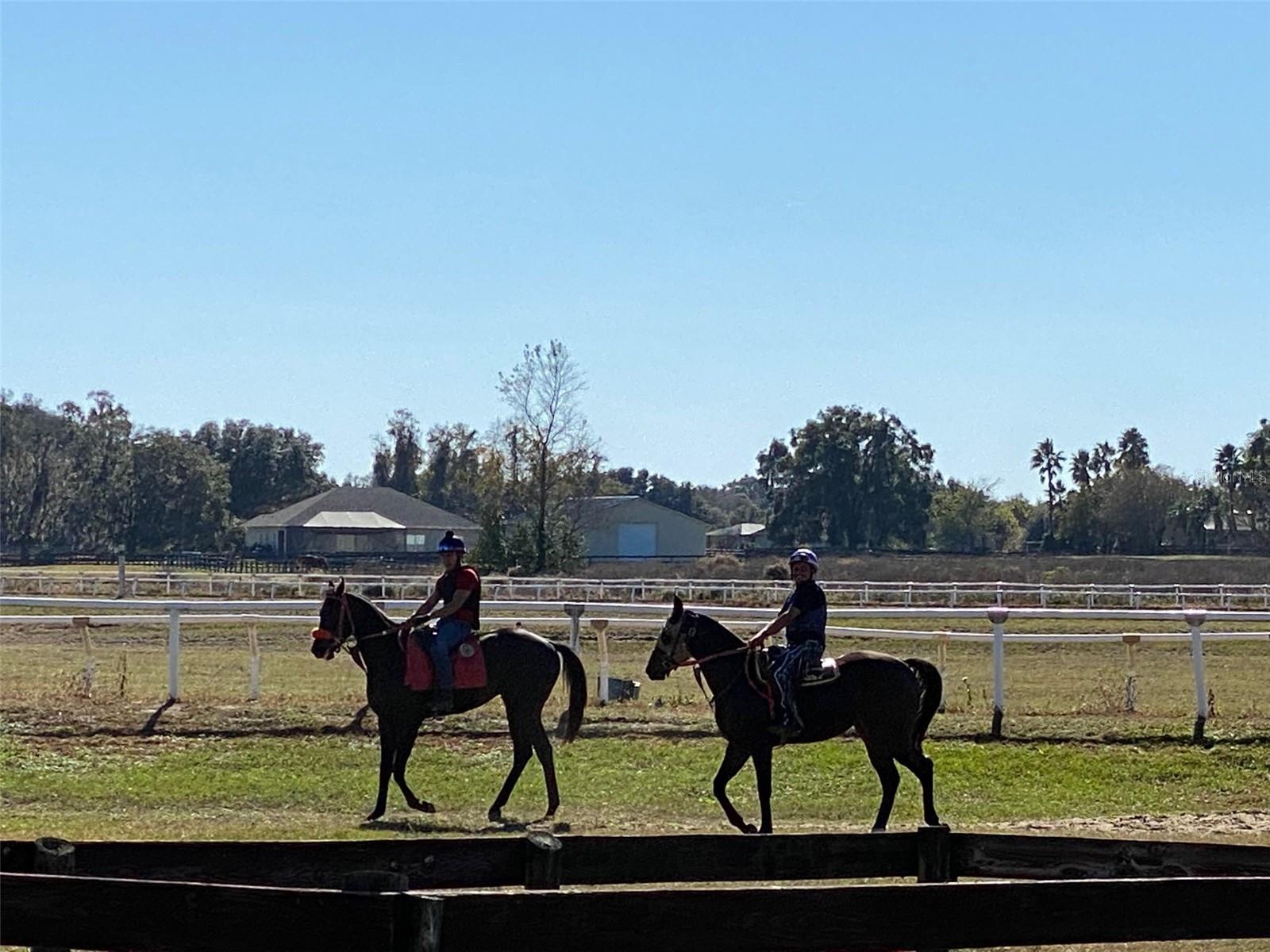 OM718430 Property Photo