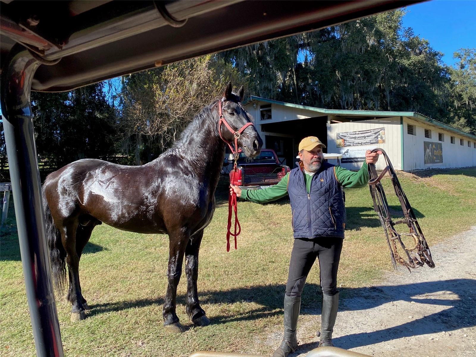 OM718430 Property Photo