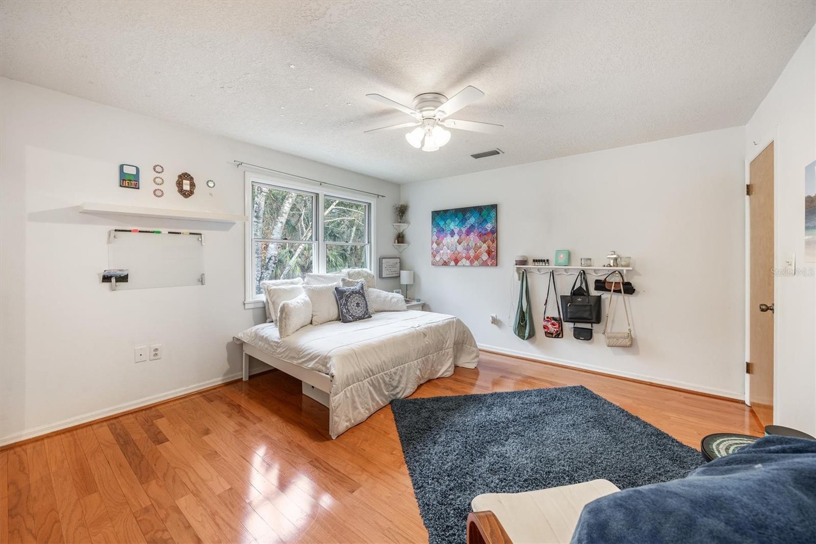 22675 NW 75TH AVENUE RD, MICANOPY, FL, 32667