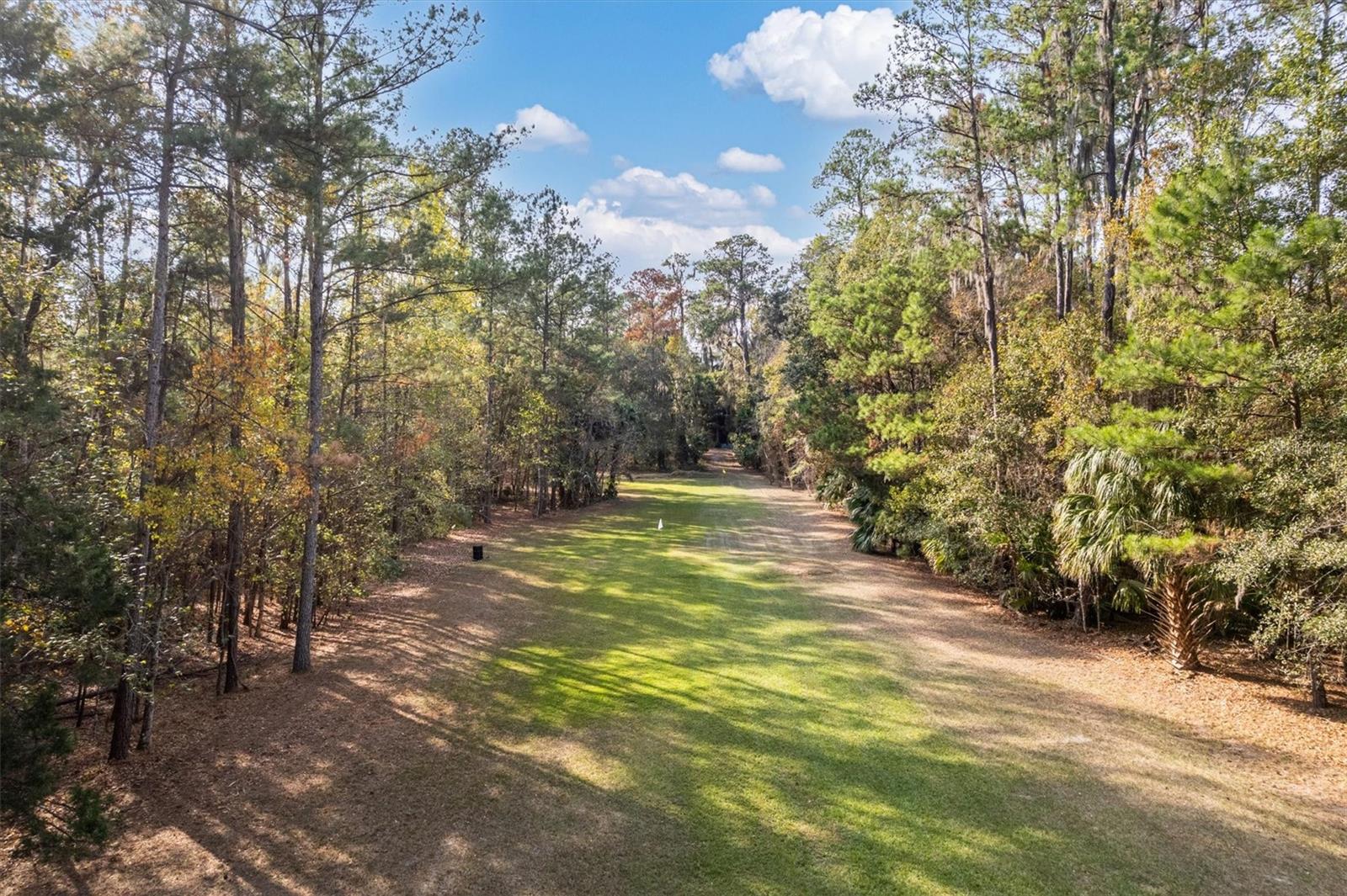 22675 NW 75TH AVENUE RD, MICANOPY, FL, 32667
