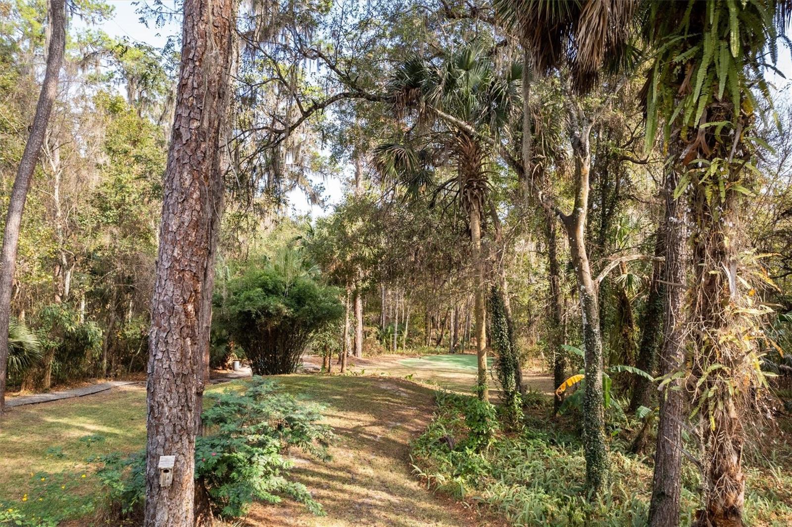 22675 NW 75TH AVENUE RD, MICANOPY, FL, 32667
