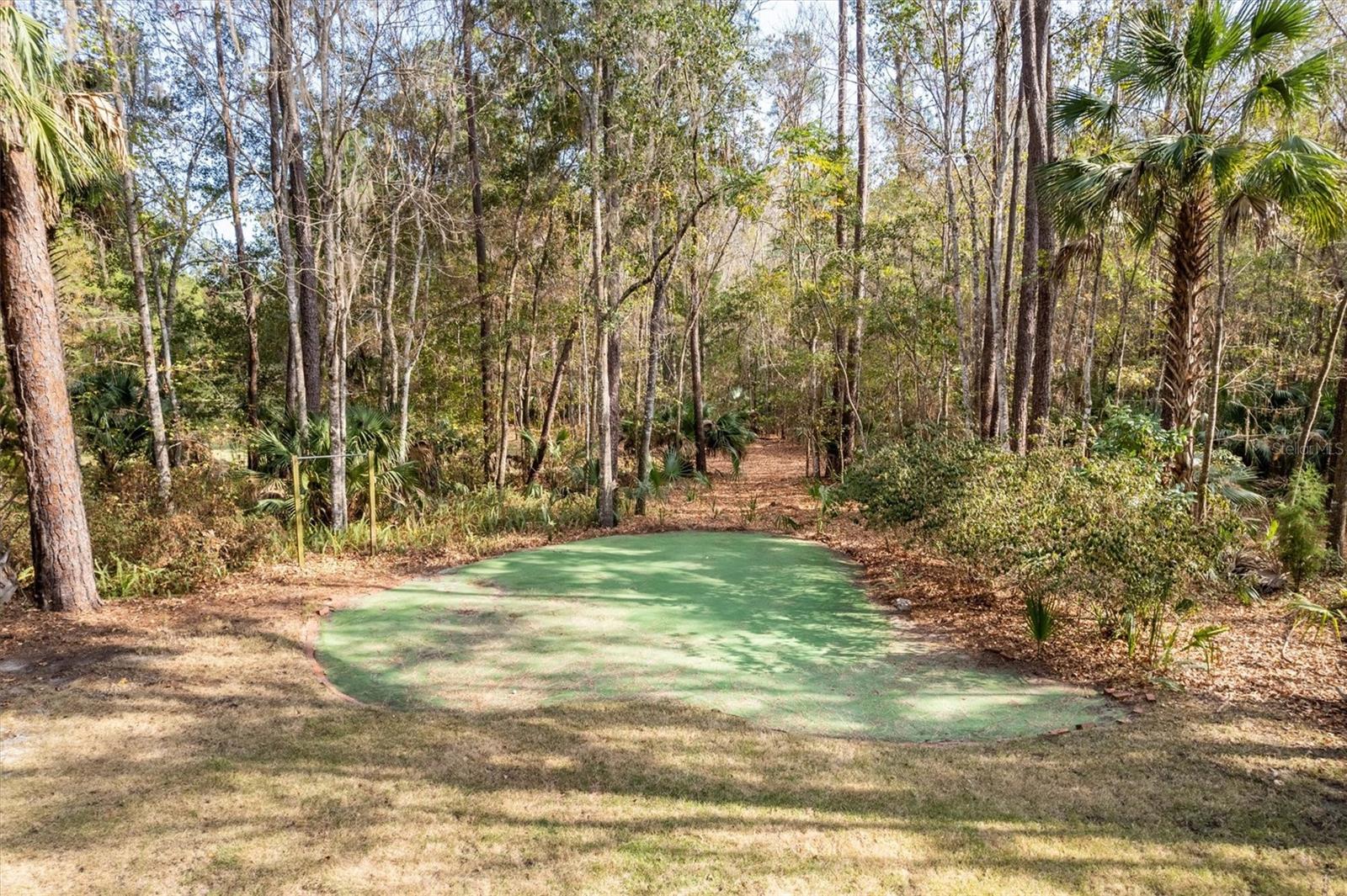 22675 NW 75TH AVENUE RD, MICANOPY, FL, 32667