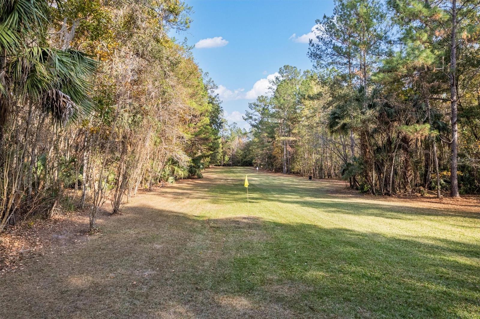 22675 NW 75TH AVENUE RD, MICANOPY, FL, 32667