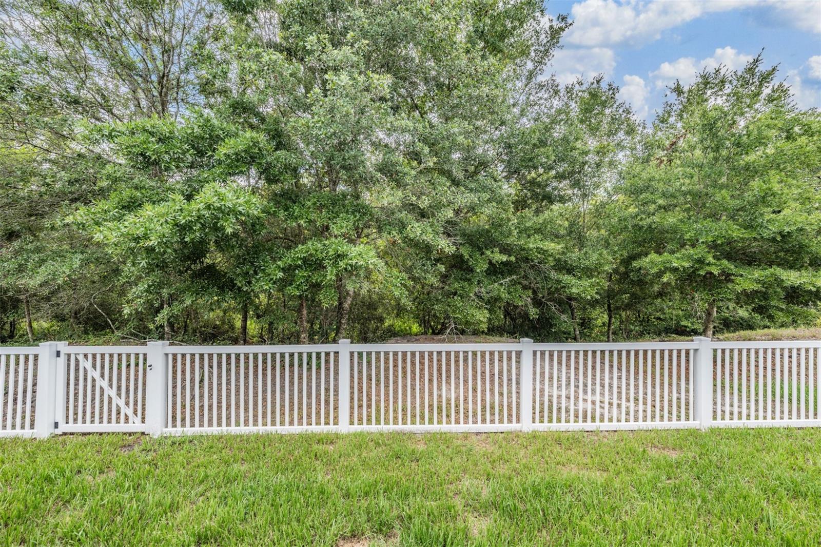 11954 BRISTOL BRIDGE RD, SPRING HILL, FL, 34610