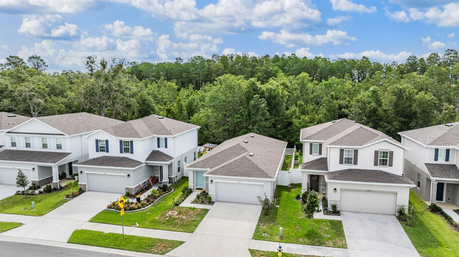 11954 BRISTOL BRIDGE RD, SPRING HILL, FL, 34610