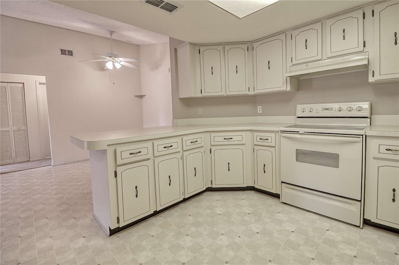 7328 FLYWAY DR, SPRING HILL, FL, 34607