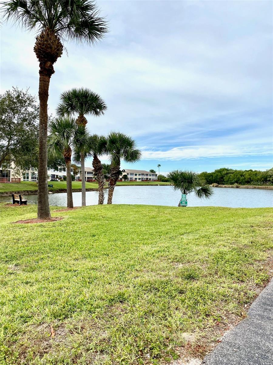 Beautiful Landscapes