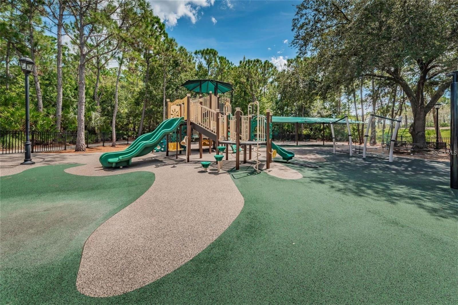 11909 MIDDLEBURY DR, TAMPA, FL, 33626