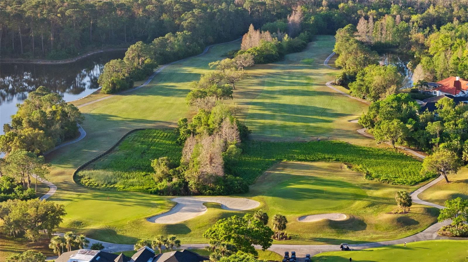 11909 MIDDLEBURY DR, TAMPA, FL, 33626