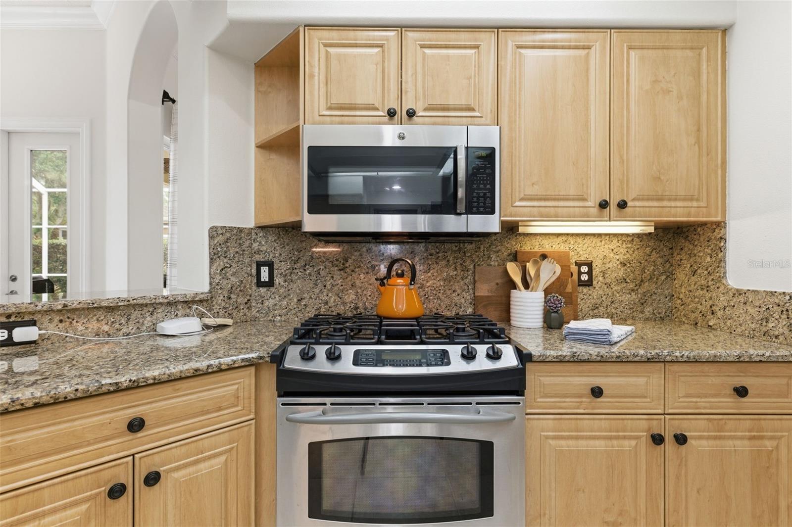 11909 MIDDLEBURY DR, TAMPA, FL, 33626