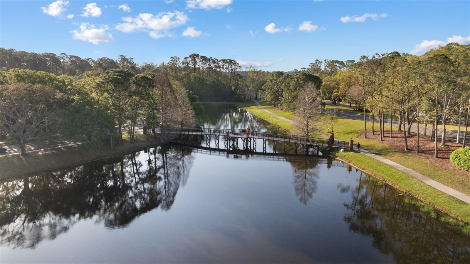 11909 MIDDLEBURY DR, TAMPA, FL, 33626