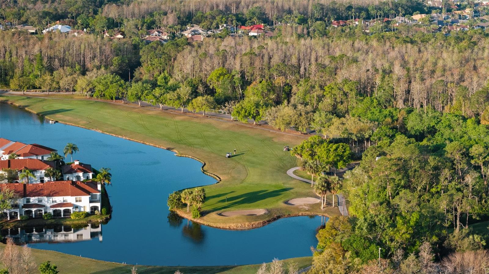 11909 MIDDLEBURY DR, TAMPA, FL, 33626