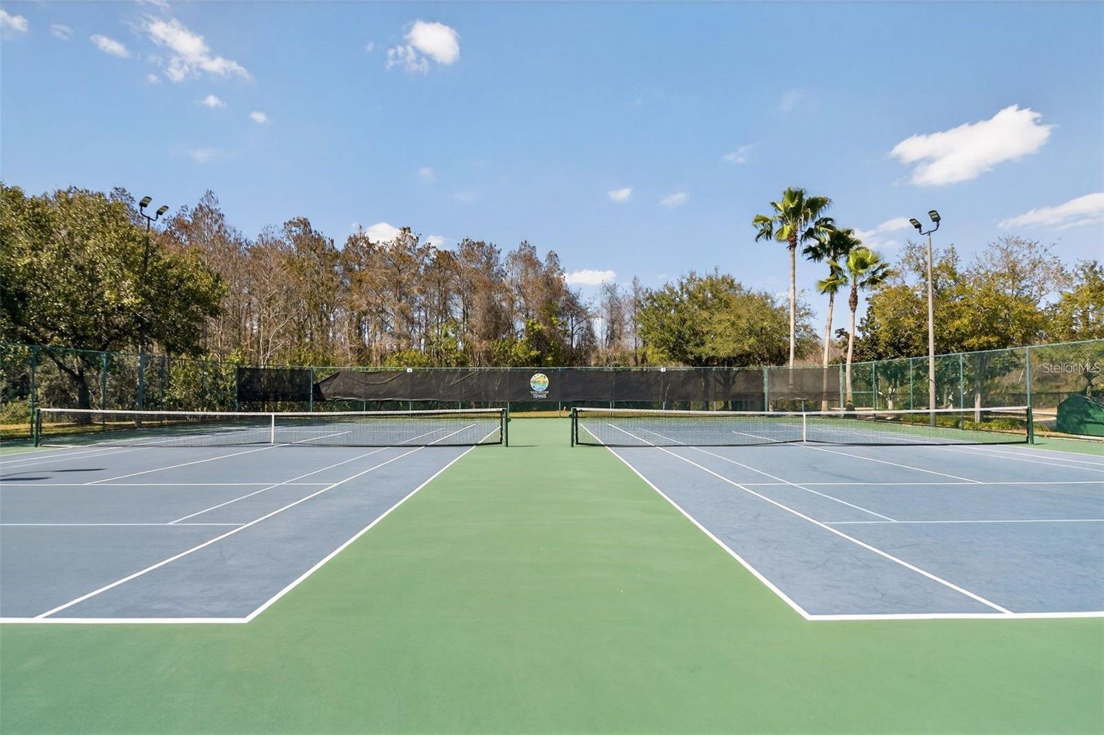14749 BRUNSWOOD WAY, ORLANDO, FL, 32824