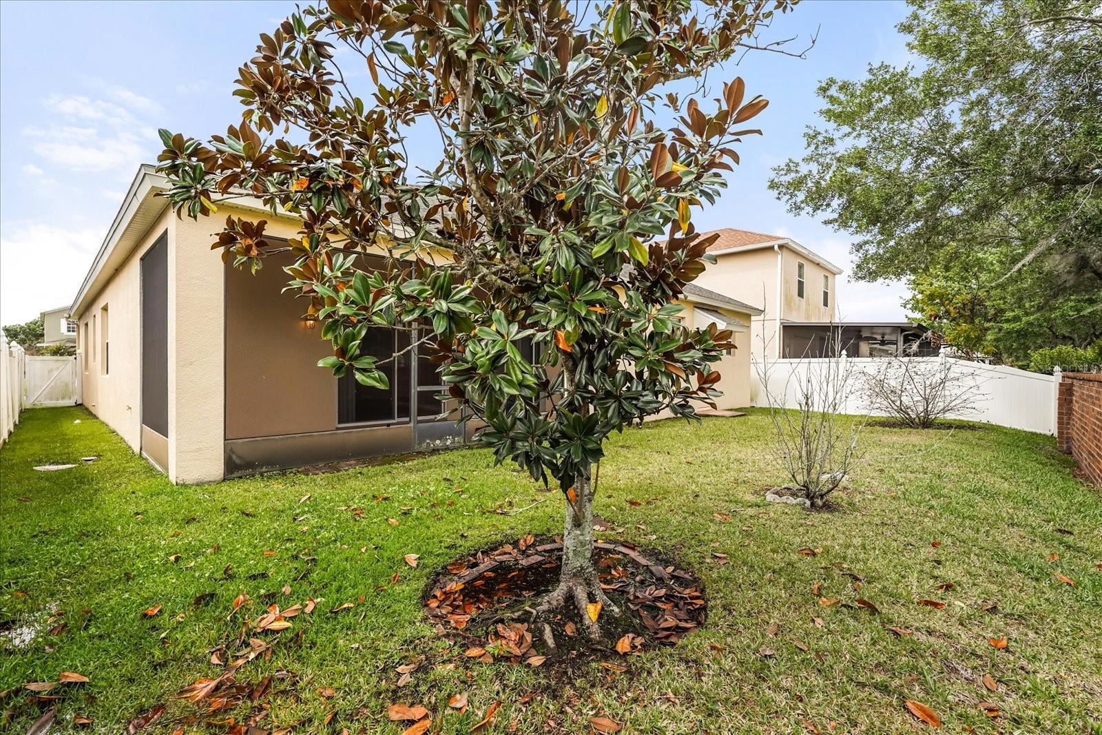 14749 BRUNSWOOD WAY, ORLANDO, FL, 32824