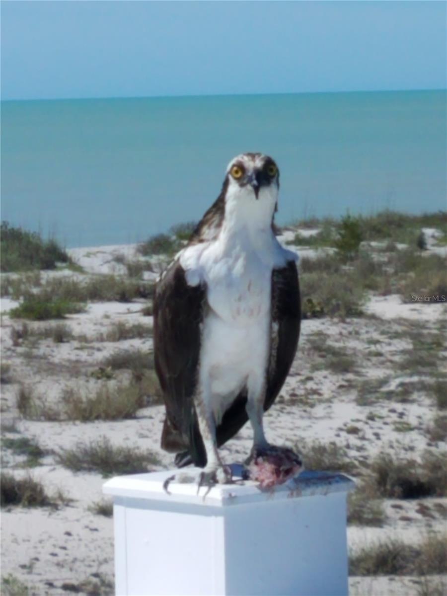 D6146116 Property Photo