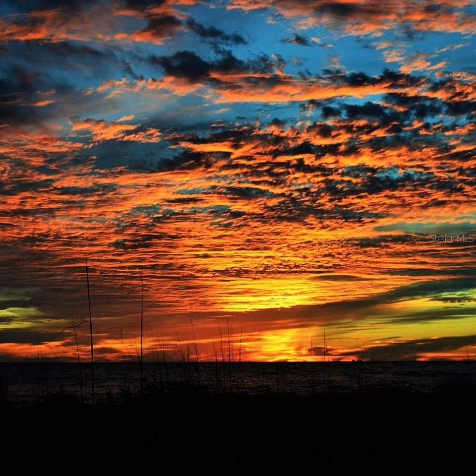 D6146116 Property Photo