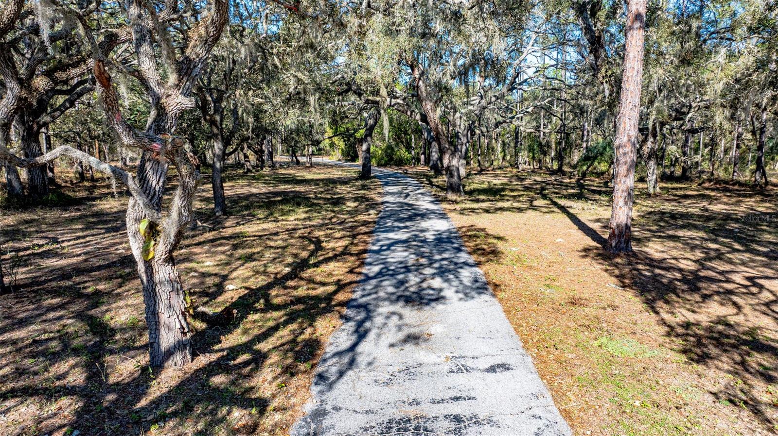 13615 TYRONE ST, HUDSON, FL, 34667