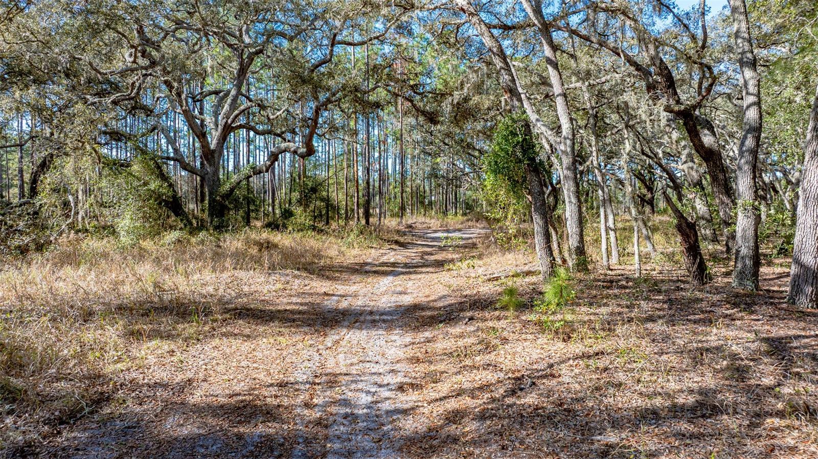 13615 TYRONE ST, HUDSON, FL, 34667