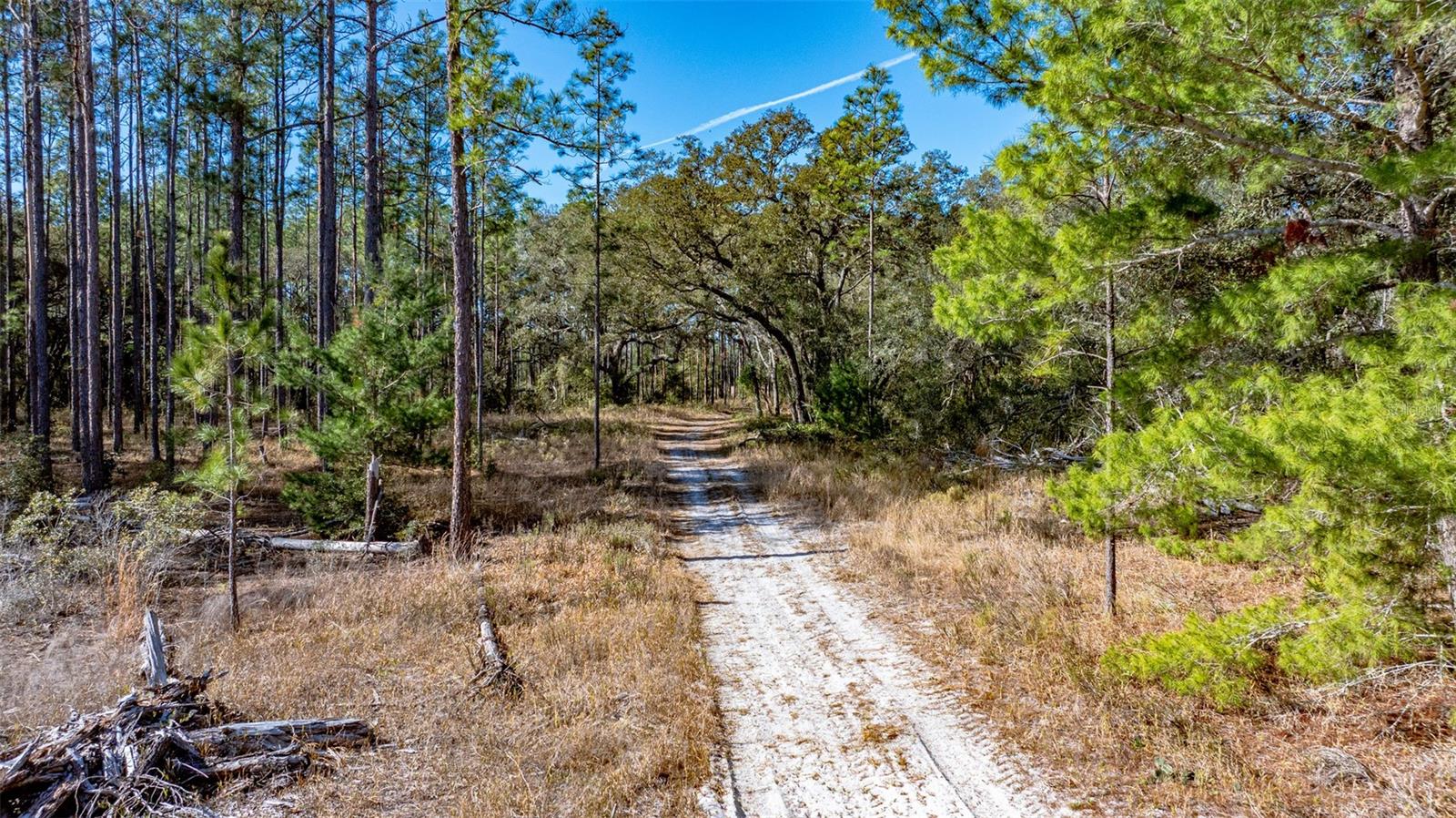 13615 TYRONE ST, HUDSON, FL, 34667
