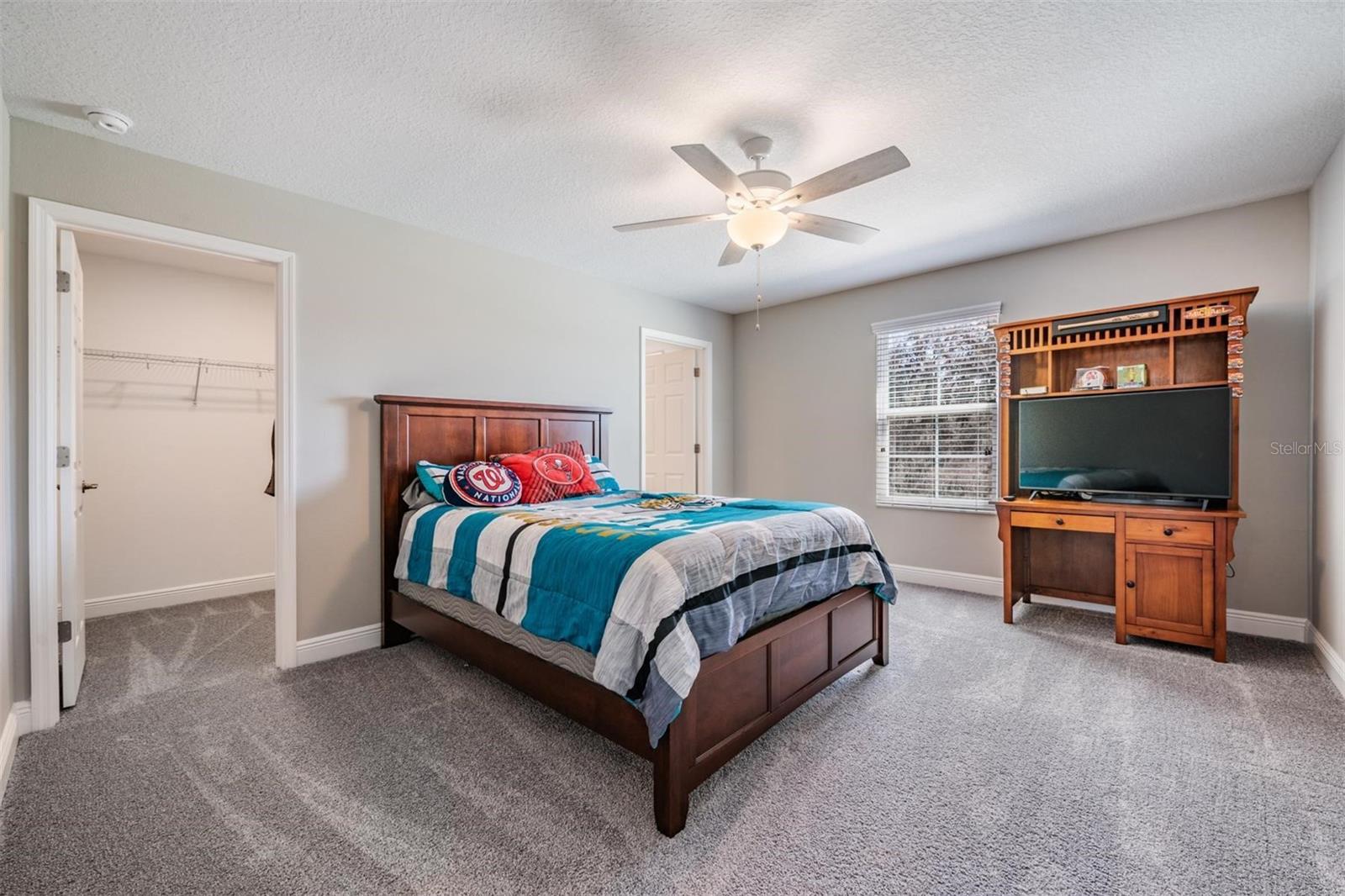 33115 SYCAMORE LEAF DR, WESLEY CHAPEL, FL, 33545