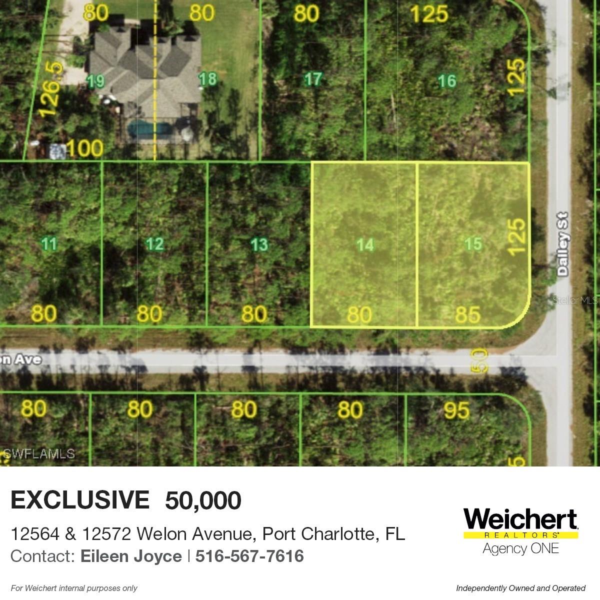 12564 E WELON AVE, PORT CHARLOTTE, FL, 33953