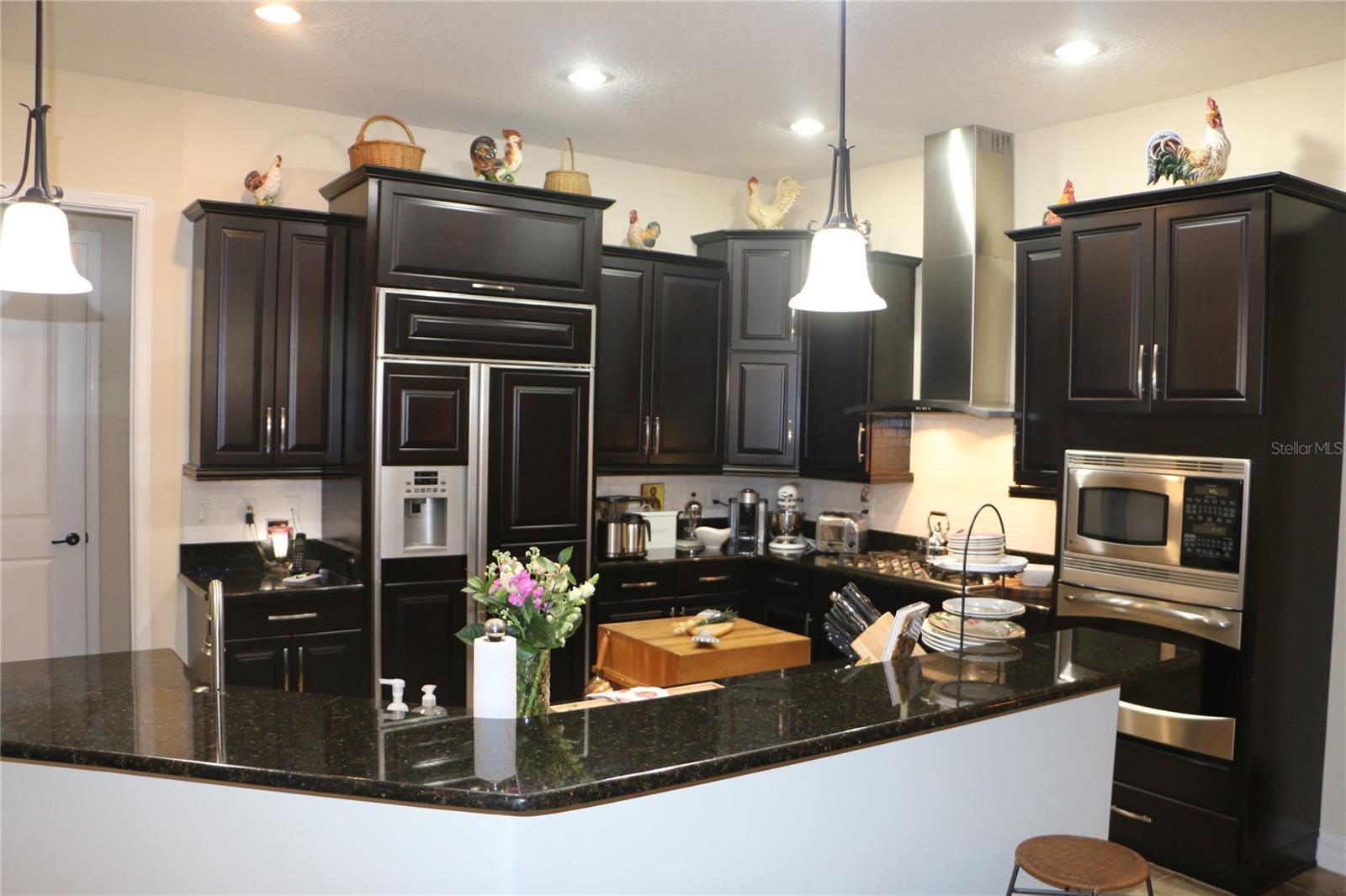 25447 HIGH HAMPTON CIR, SORRENTO, FL, 32776