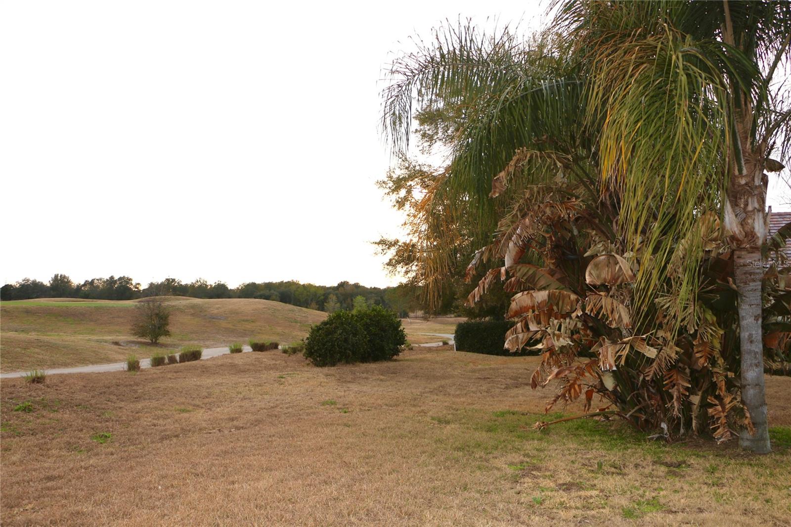 25447 HIGH HAMPTON CIR, SORRENTO, FL, 32776