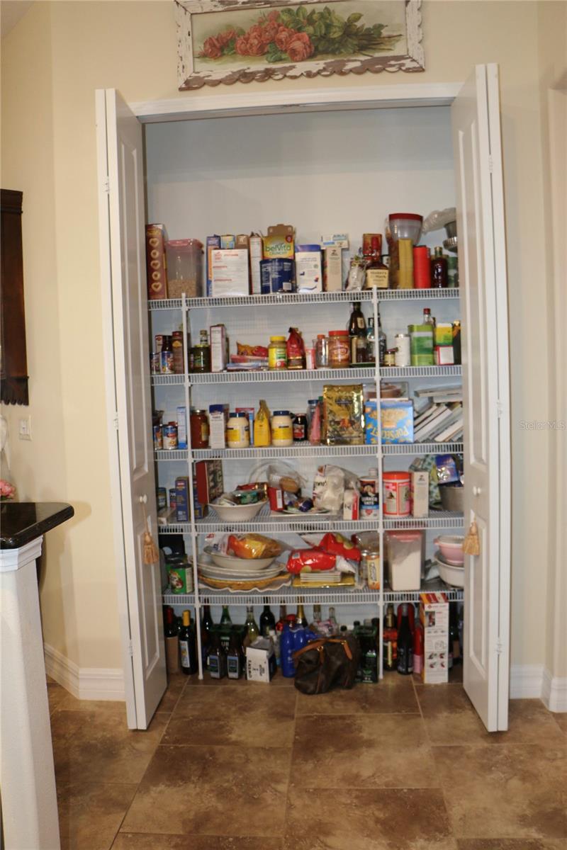 25447 HIGH HAMPTON CIR, SORRENTO, FL, 32776