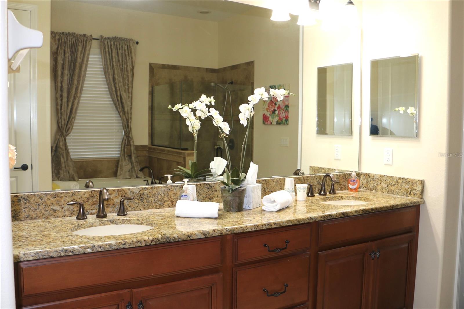 25447 HIGH HAMPTON CIR, SORRENTO, FL, 32776