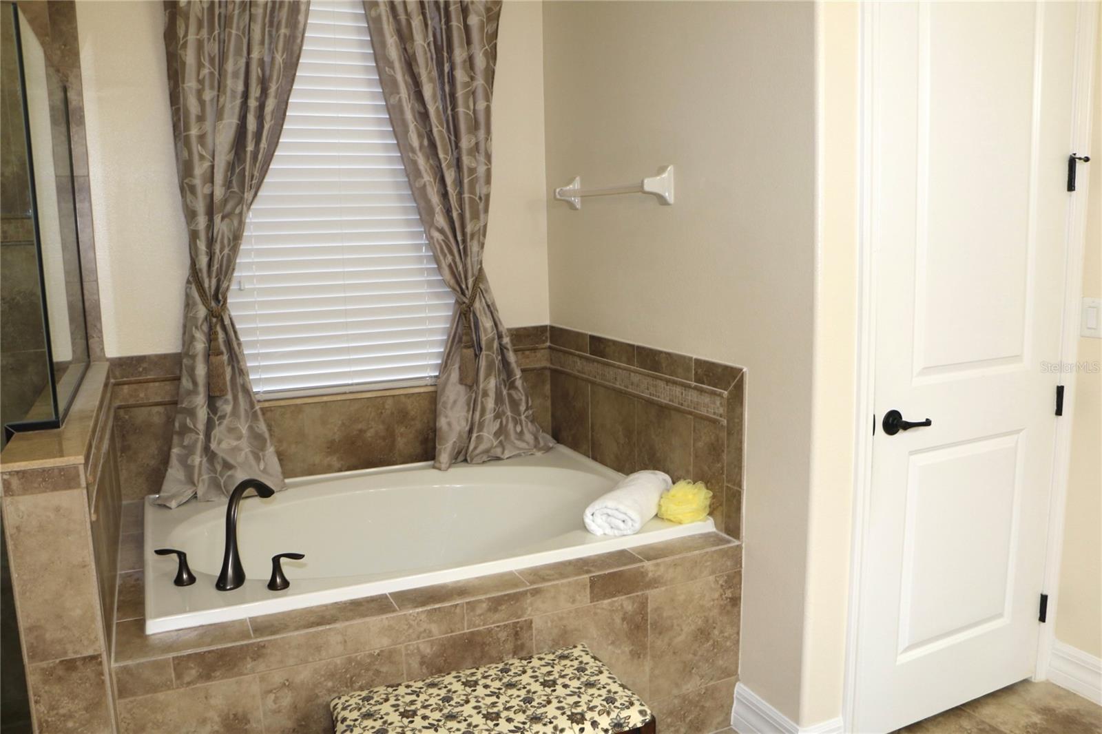 25447 HIGH HAMPTON CIR, SORRENTO, FL, 32776